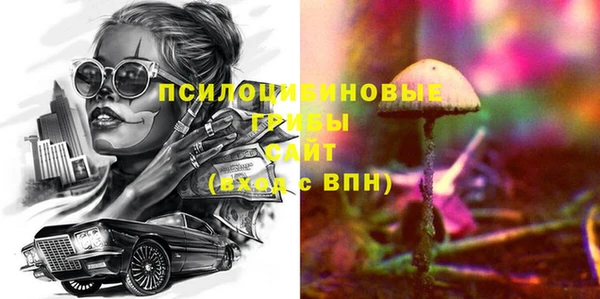 ГАЛЛЮЦИНОГЕННЫЕ ГРИБЫ Алексин