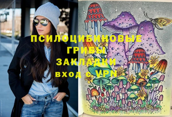 спайс Алексеевка