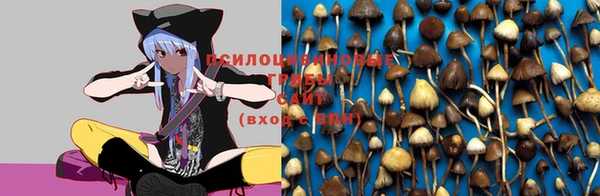 спайс Алексеевка