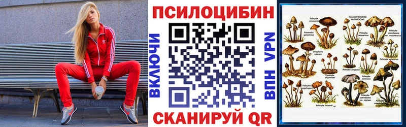 Псилоцибиновые грибы Psilocybine cubensis  наркотики  Чапаевск 